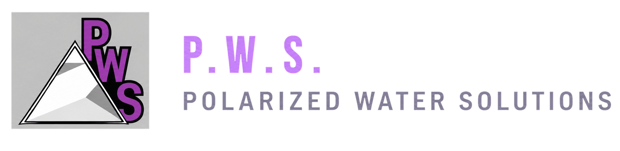 Polarized Water Solutions
