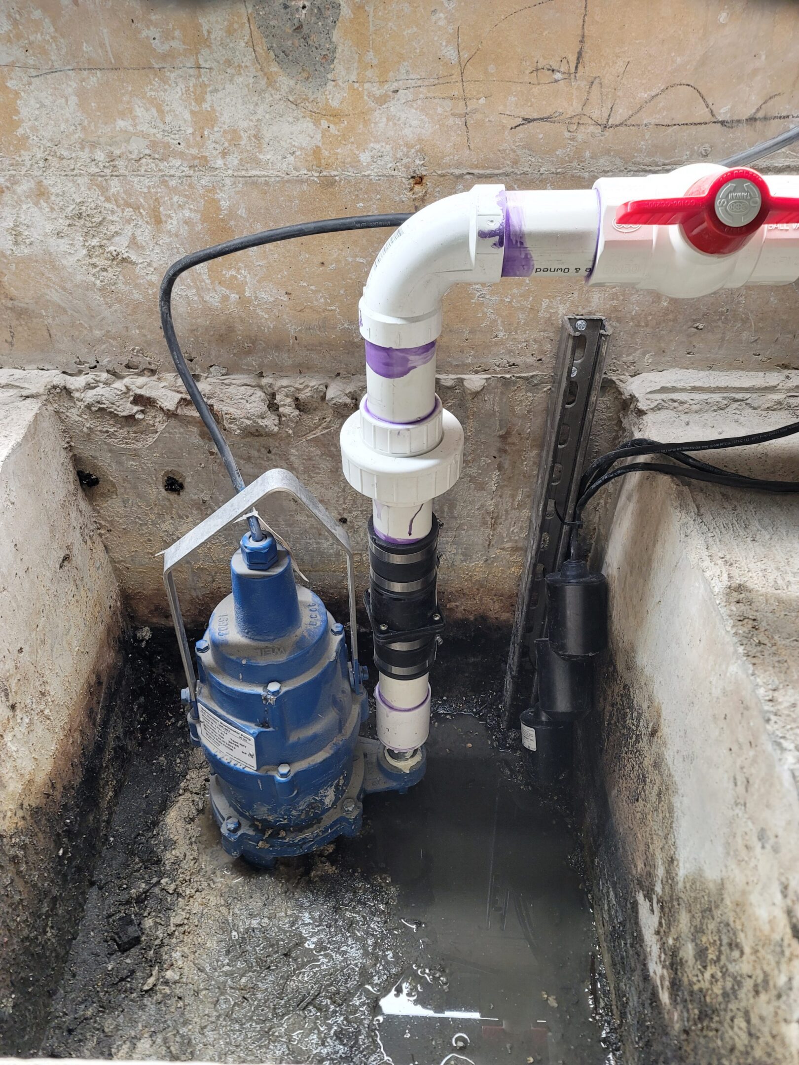 Polarized Water Solutions